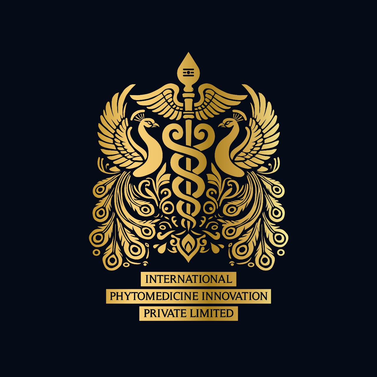 INTERNATIONAL PHYTOMEDICINE INNOVATION