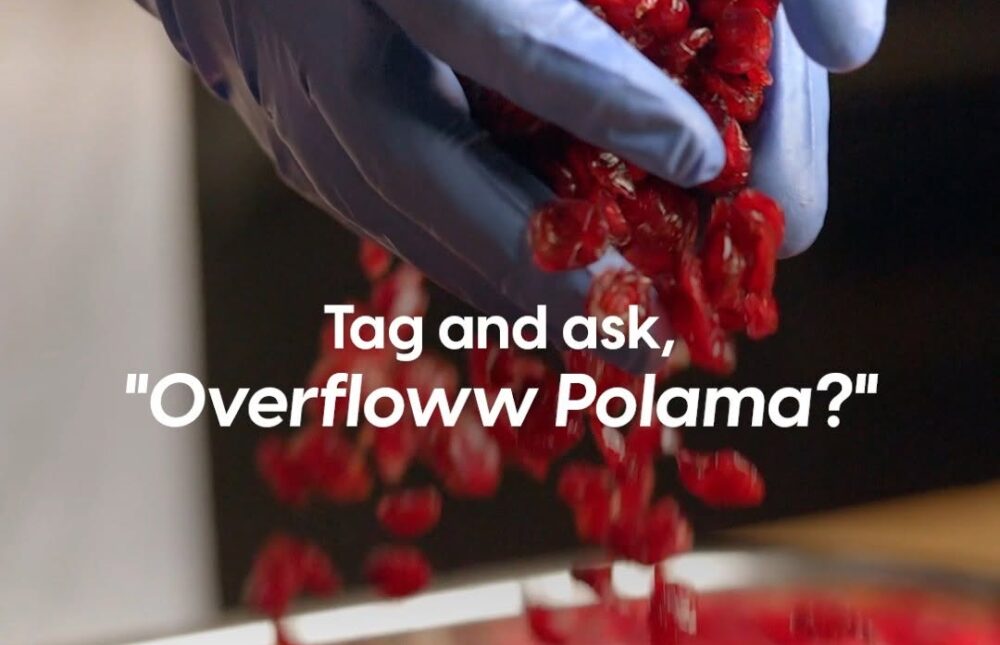 524375498_17977600160897891_7625294058303508003_n